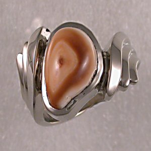 OR43-14KT white gold elk's tooth ring